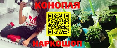 тгк Бердск