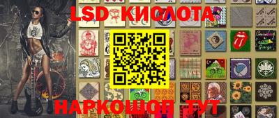 тгк Бердск