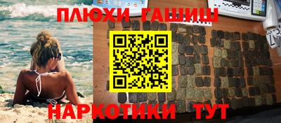 тгк Бердск