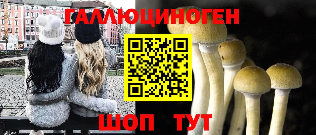 Псилоцибиновые грибы Psilocybe Надым